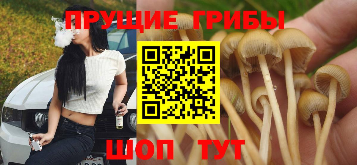 Галлюциногенные грибы GOLDEN TEACHER Сосновый Бор
